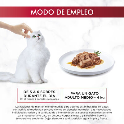 Comida h&uacute;meda gato Purina Gourmet mon petit pack 6