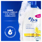 Champ&uacute; H&S 800 ml Citrus Fresh