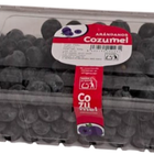 Ar&aacute;ndano bandeja 500g