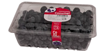 Ar&aacute;ndano bandeja 500g