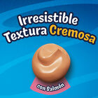 Alimento para gato PURINA&reg; FELIX&reg; Deli Moments Con Salm&oacute;n 4x10g