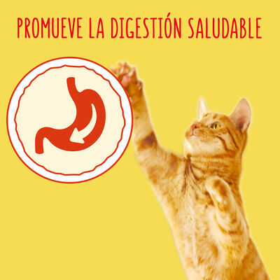 Alimento para gato Friskies buey pollo 400gr