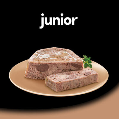 Comida h&uacute;meda perro C&eacute;sar junior pavo ternera 150g