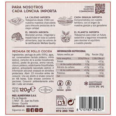 Pechuga de pollo braseado delicada y sabrosa Delizias Noel 120g