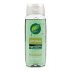 Champú Bodyplus 400ml natural