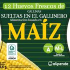 Huevos de gallinas criadas con maíz sueltas en el gallinero Alipende 12u "clase m-l"
