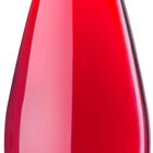 Vino rosado DO Navarra Gran Feudo