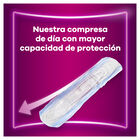 Compresa Discreet Ausonia 12 unidades Max Noche