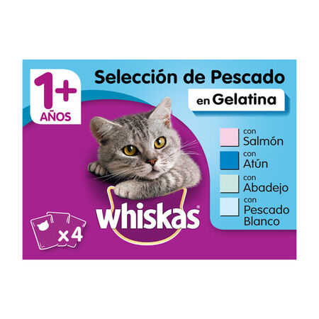 Comida húmeda gato Whiskas gelatina pescado pack 4