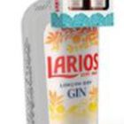 Ginebra con dos miniaturas de pomelo Larios 1l Larios