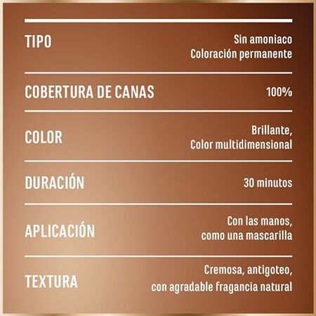 Tinte Pelo Good Garnier Castaño Nº 5.0