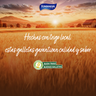 Bizcochitos Fontaneda 140g