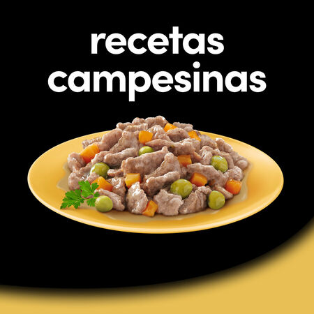 Comida húmeda perro César recetas campesinas pack 4