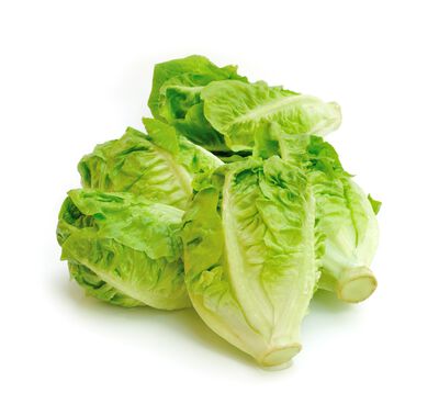 Corazón de lechuga bandeja 6uds