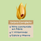 Papilla 8 cerales y galleta Hero Solo 340g