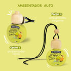 Ambientador Coche The Fruit Company Mel&oacute;n