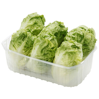 Coraz&oacute;n de lechuga bandeja 6uds