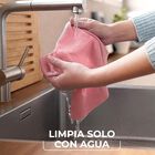 Bayeta Vileda 2 Unidades Actifibre Soft