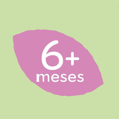 Papilla 8 cerales y galleta Hero Solo 340g