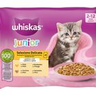 Alimento para gato pack de 4 junior aves Whiskas