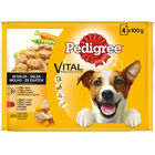 Pienso perro Pedigree pollo buey verduras pack 4
