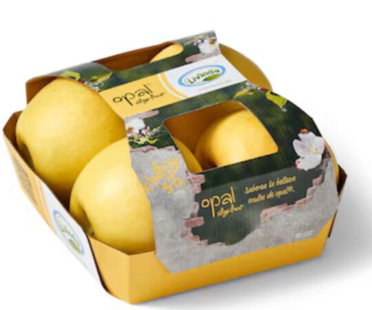 Manzana Opal 650g Bandeja