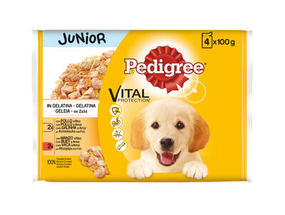 Comida húmeda perros junior Pedigree vital 400g
