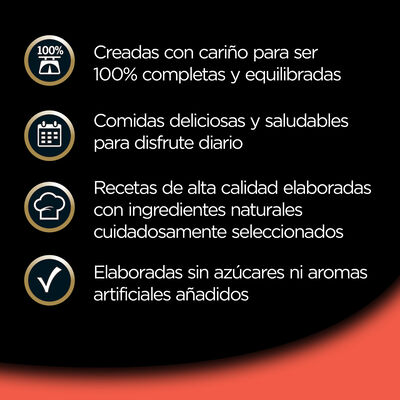 Clásicos comida húmeda para perro con buey tarrina 150 g