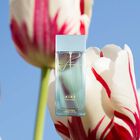 Colonia Vicky Mart&iacute;n berrocal 100ml aire