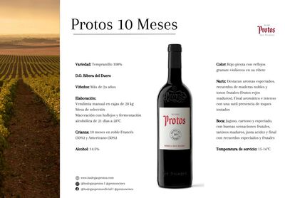 Vino tinto D.O.R. Duero Protos 10 meses.75cl