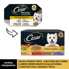 Comida húmeda perro César recetas campesinas pack 4 x 150g