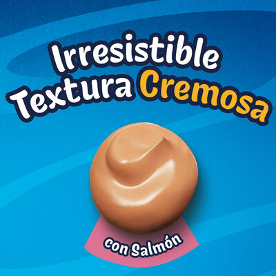 Alimento para gato PURINA® FELIX® Deli Moments Con Salmón 4x10g