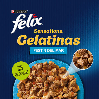 Comida h&uacute;meda gato F&eacute;lix Sensation pescados pack 4
