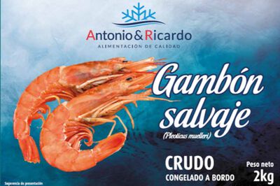 Gambón crudo salvaje A&R