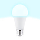 Bombilla Led esf&eacute;rica e27 pl&aacute;stico TM a65 15W fr&iacute;a