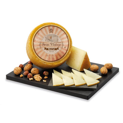 Queso oveja añejo gran vintage Marcos Conde