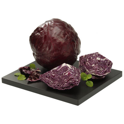 Lombarda