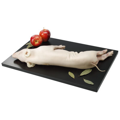 Cochinillo mediano por medios