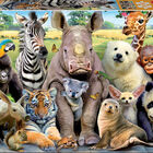 Puzzle foto clase animal Educa Borras 300u