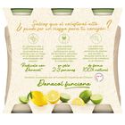 Bebida l&aacute;ctea Danacol colesterol pack 6 lima lim&oacute;n
