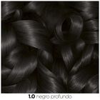 Tinte de cabello sin amoníaco Garnier Olia nº 1.0 negro profundo
