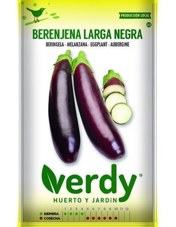 Semilla Verdy berenjena larga negra
