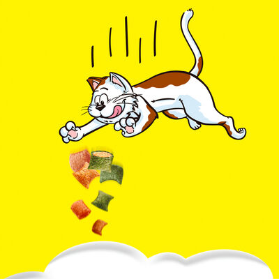 Snack para gato Catisfactions aves a la brasa 55g