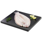 Lenguado Rubio Gordo