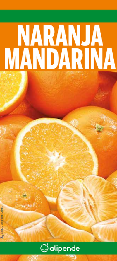 Zumo Concentrado Alipende 1L Naranja-Mandarina