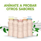 Bebida láctea Danacol colesterol pack 6 natural