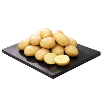 Patata
