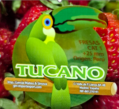 Fresón bandeja 250g