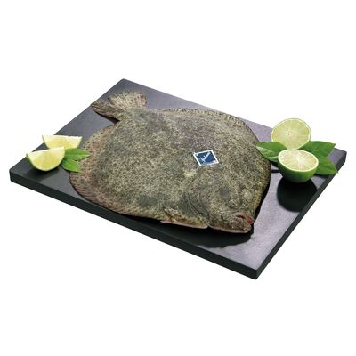 Rodaballo 1,5-2kg