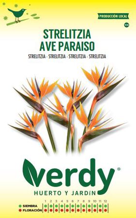 Semilla Verdy strelitzia ave paraiso